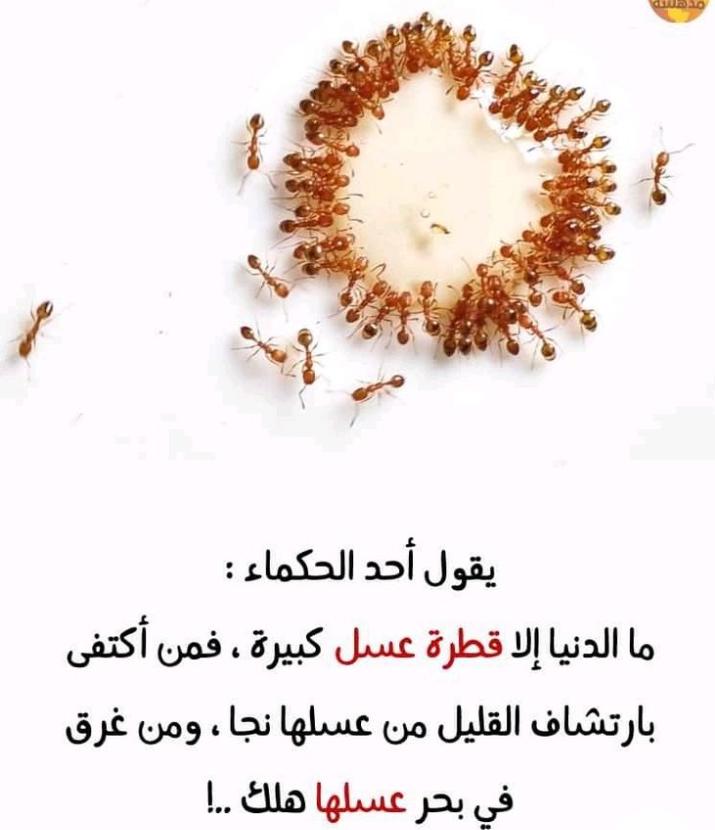 Kenikmatan Dunia